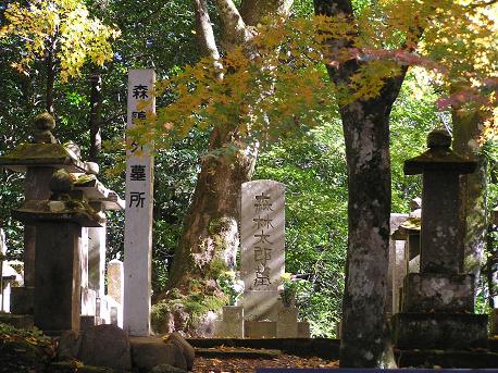 津和野 森鴎外の墓 山野草 植物めぐり