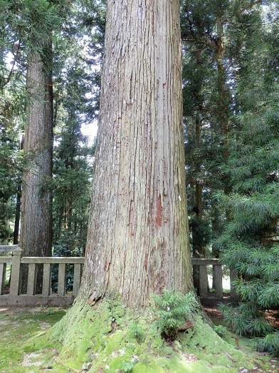 公式 中古】 日曜の地学 12 山口の地質をめぐって (1980年