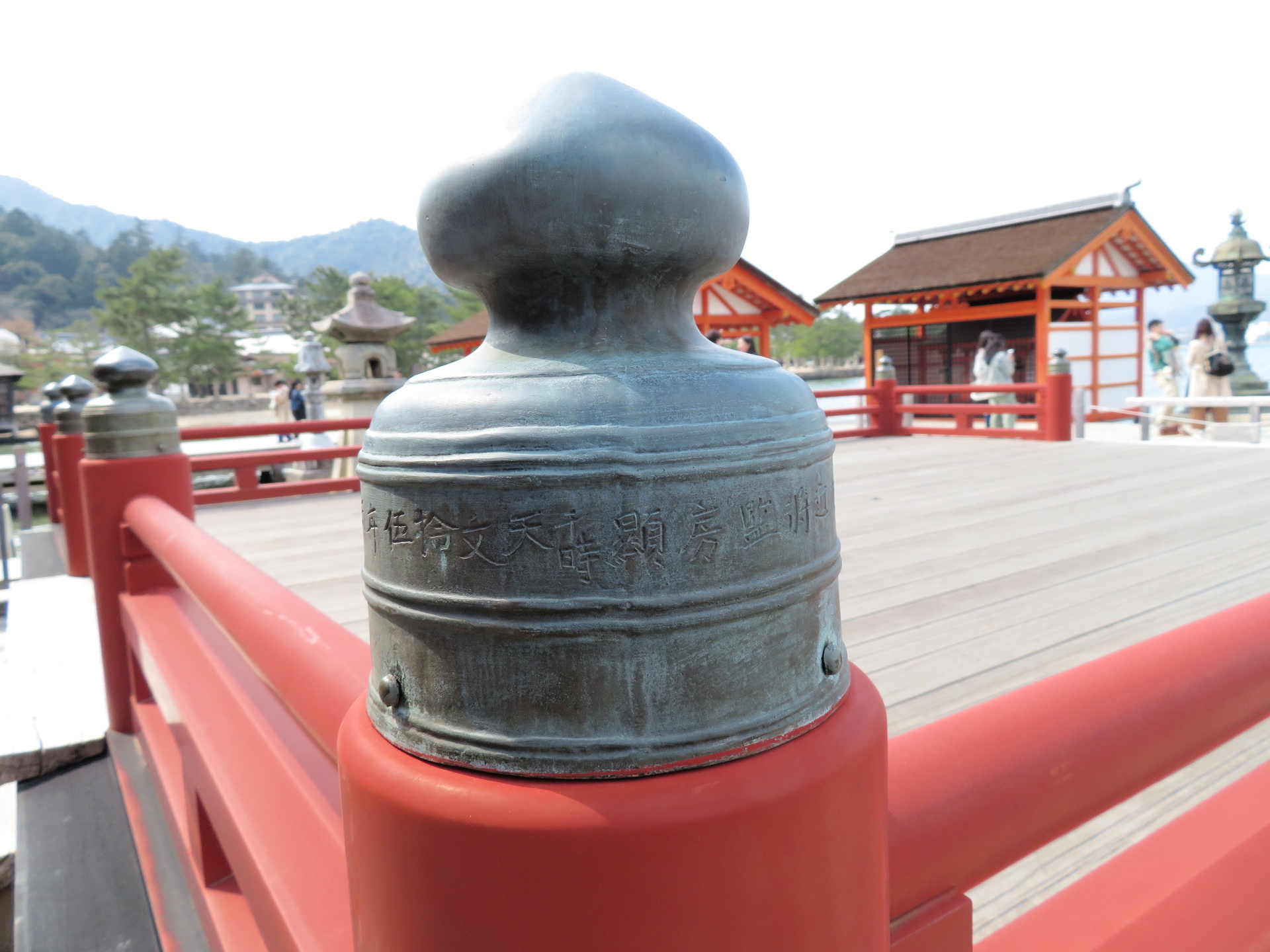 宮島ぶらり散策 ２ 厳島神社回廊で 山野草 植物めぐり