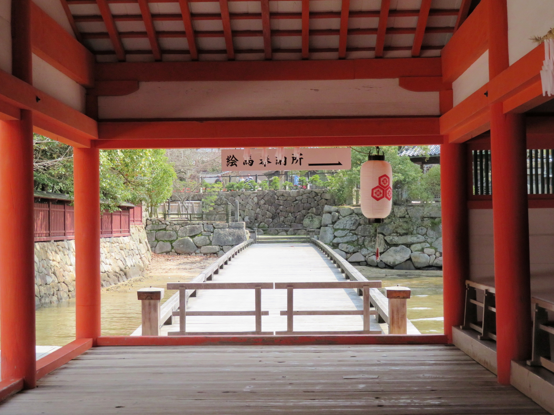 宮島ぶらり散策 ２ 厳島神社回廊で 山野草 植物めぐり