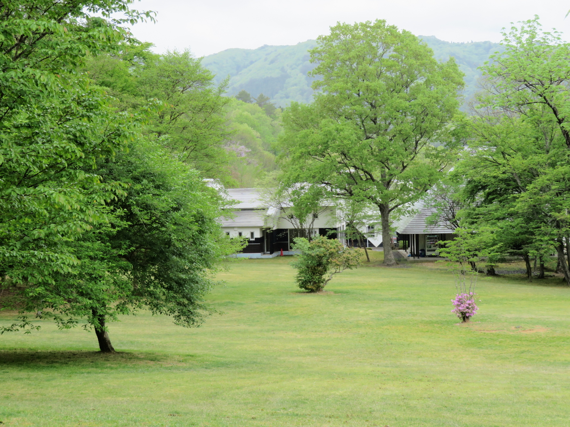 魅惑の里（広島県廿日市市吉和）: 山野草、植物めぐり 