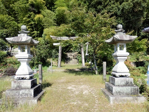 栗栖 河内神社 山野草 植物めぐり