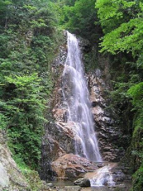 山歩きーその15（龍頭峡：広島県安芸太田町） 山野草、植物めぐり