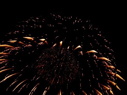 宮島水中花火大会 山野草 植物めぐり